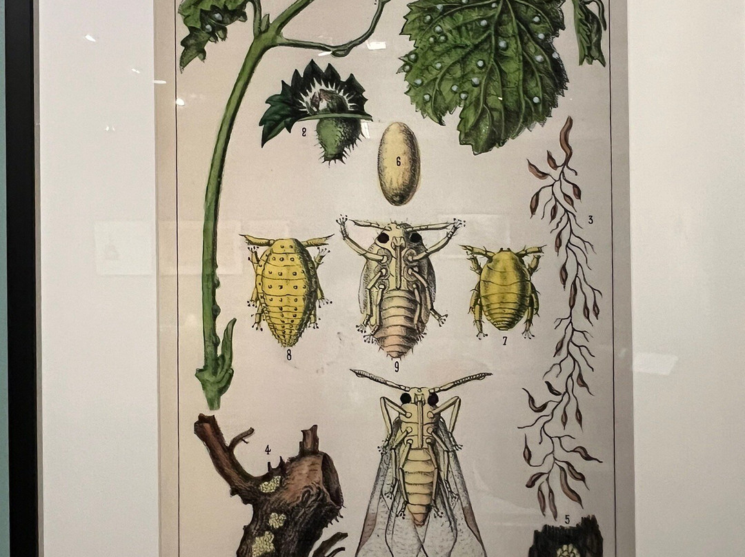 Hennessy Les Visites-干邑必去景点