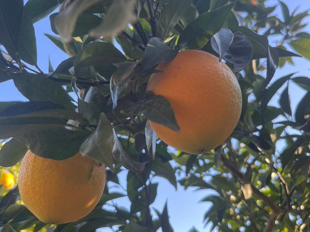 Casa de La Campana主图