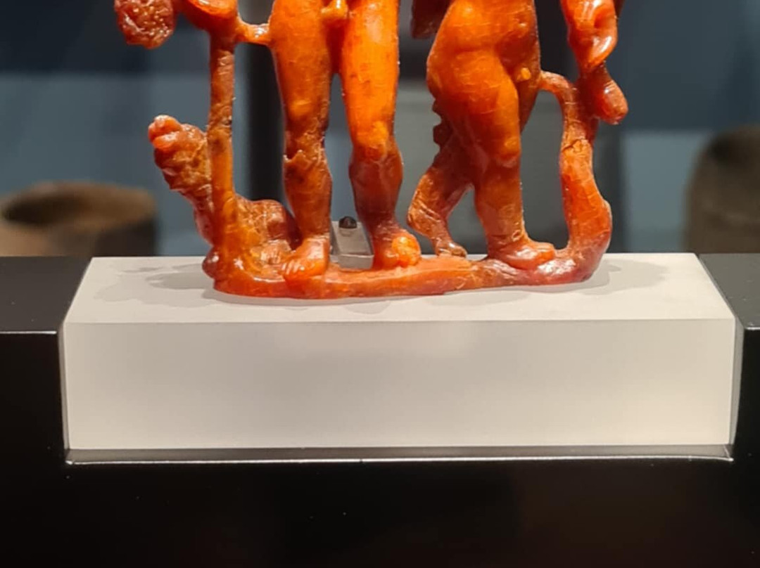 Het Noordbrabants Museum-斯海尔托亨博斯必去景点