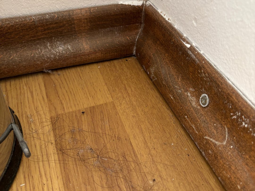 Pensiunea La Maison主图