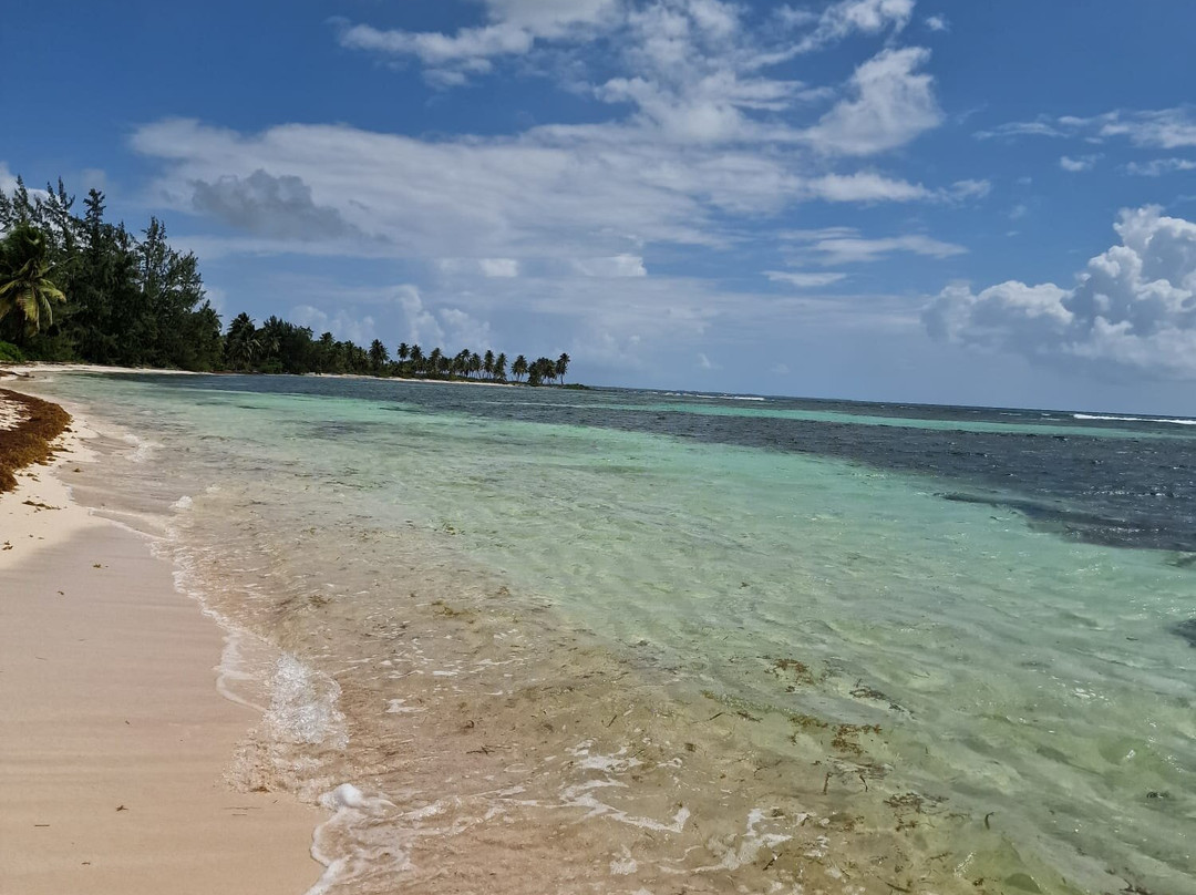 Mariposa Tours-Bayahibe必去景点