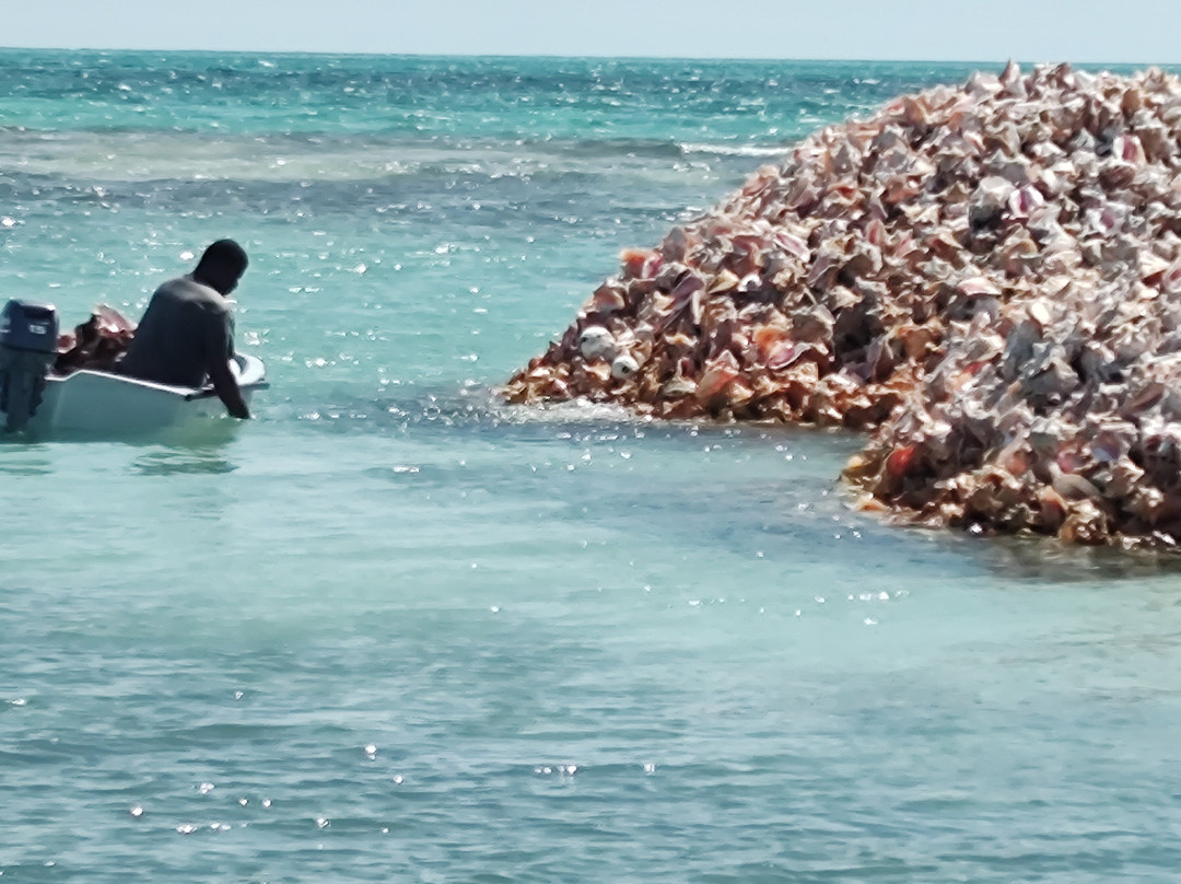 Horseshoe Reef-Anegada必去景点