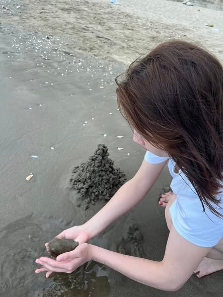 Quynh Nghia Beach-Quynh Nghia必去景点