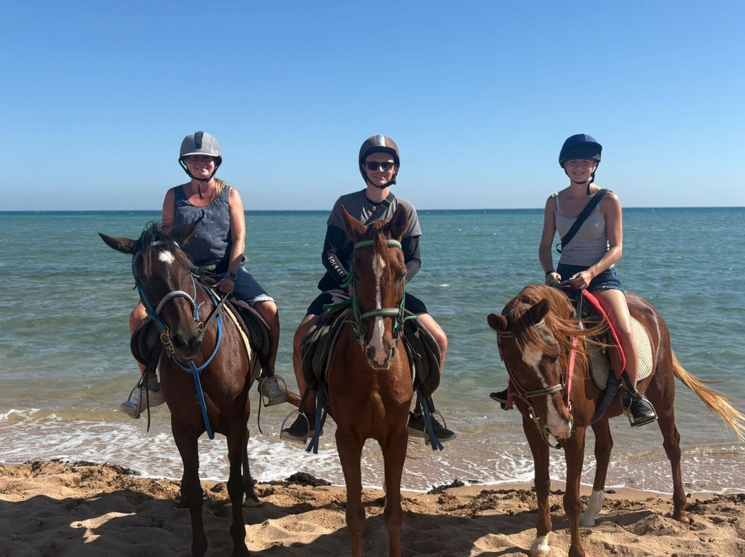 Trip Adventure-赫尔格达必去景点