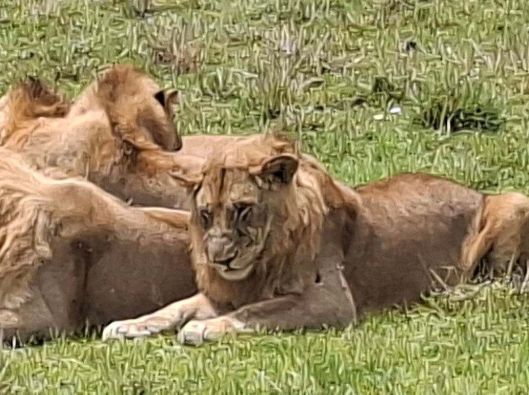 Lorna Safaris-内罗毕必去景点