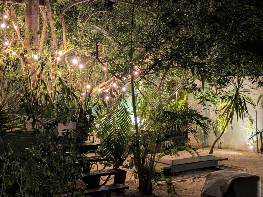 Hotel El Nido Holbox主图