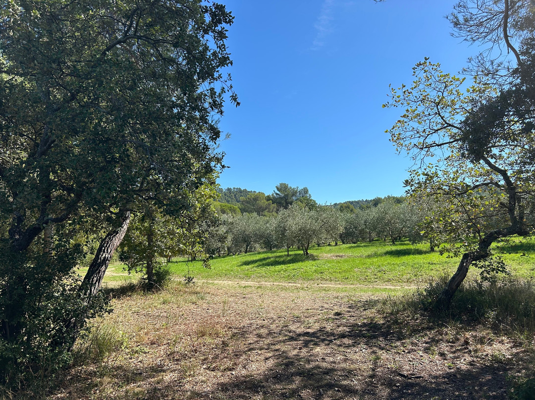 Bastide du Laval-Cadenet必去景点