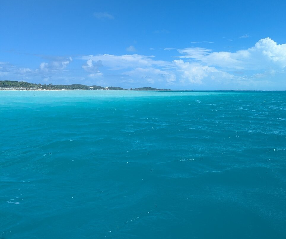 Chat 'N' Chill Bar-George Town必去景点