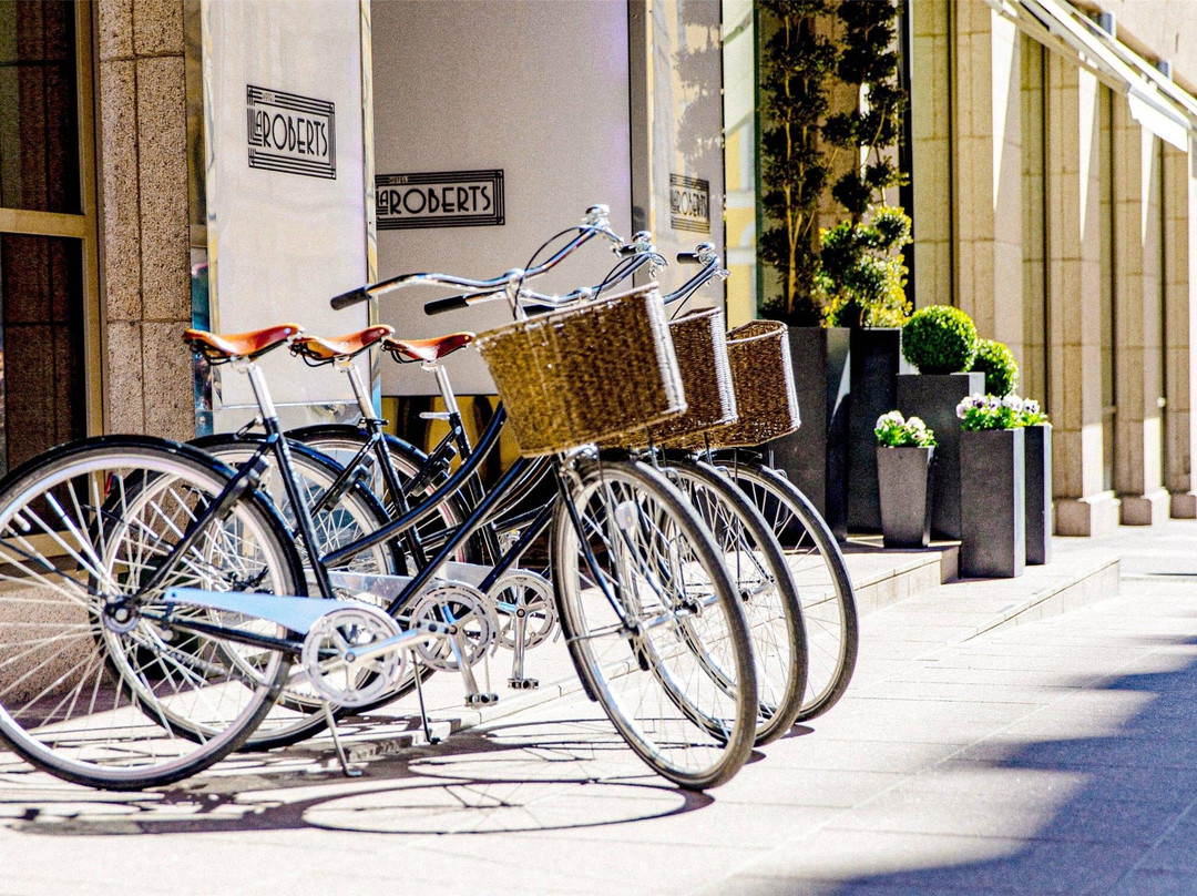 赫尔辛基酒店住宿-莉拉罗伯茨酒店