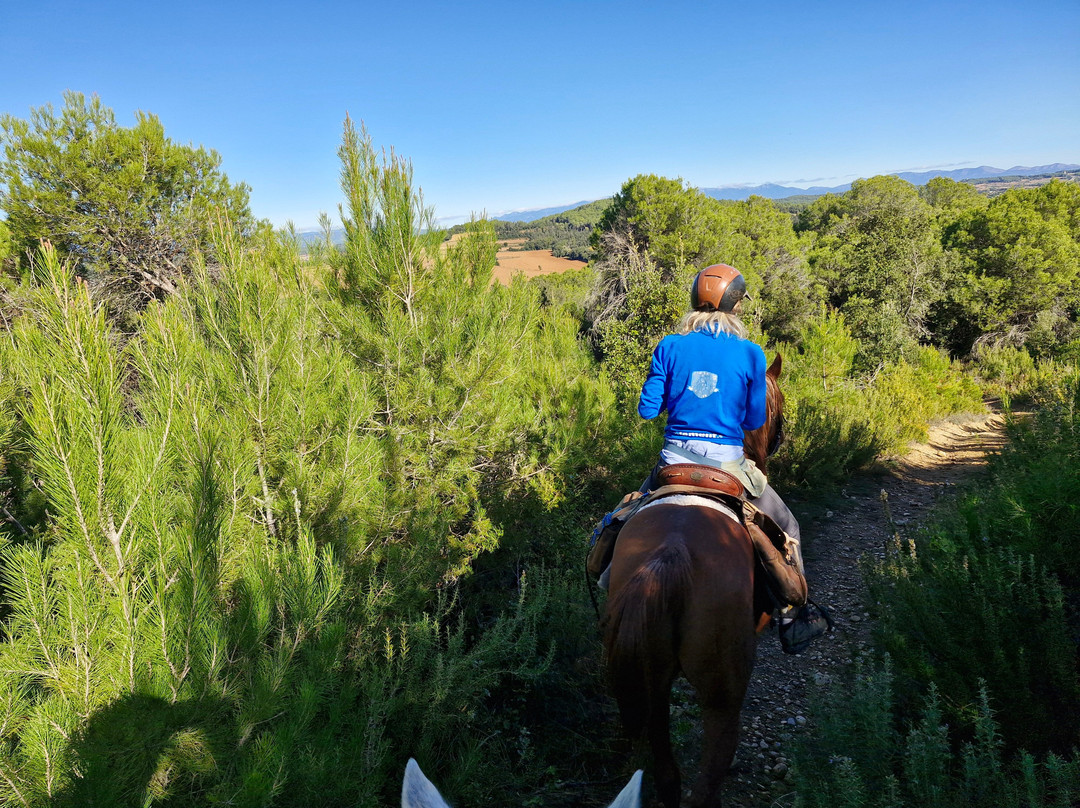 Panorama Trails-Terradelles必去景点