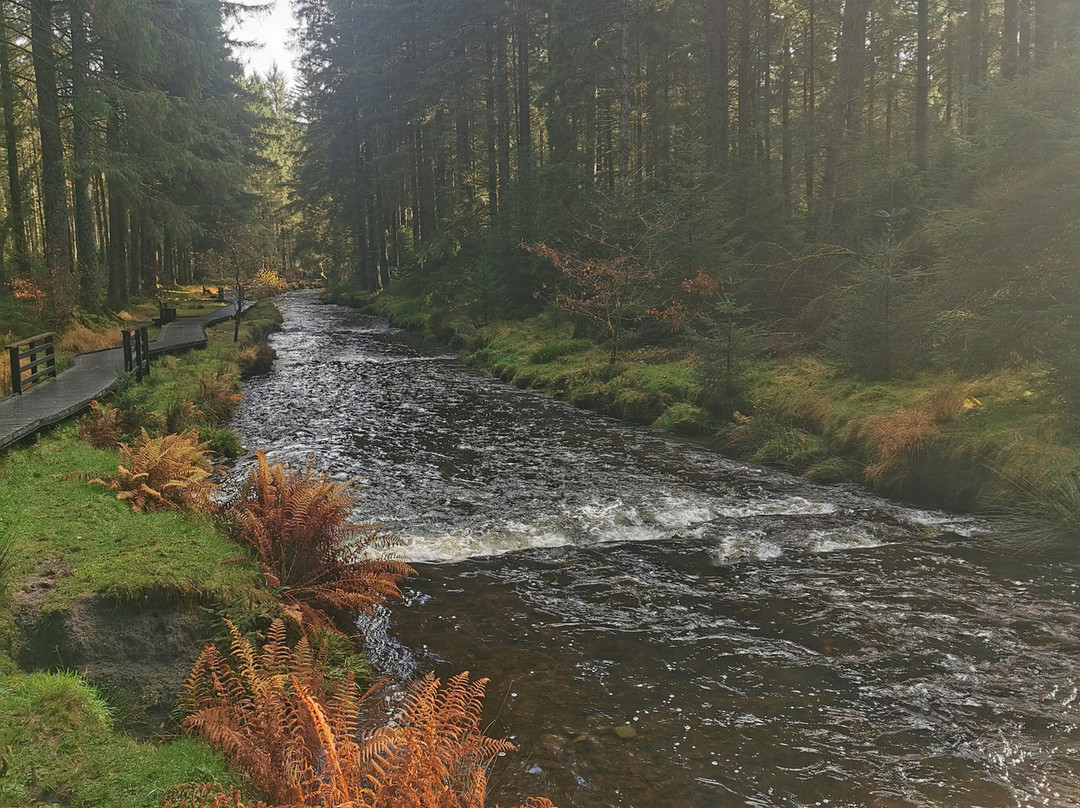 Hafren Forest-Llanidloes必去景点