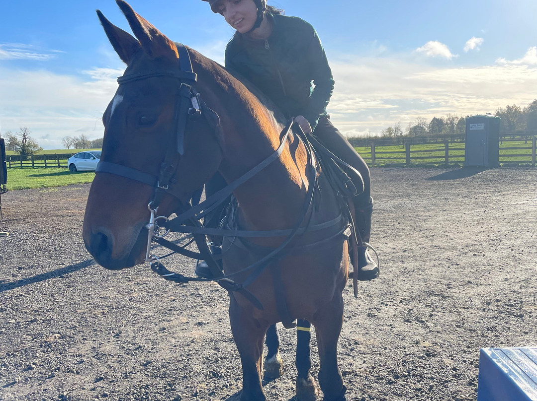 Dart Polo Academy-Gainsborough必去景点