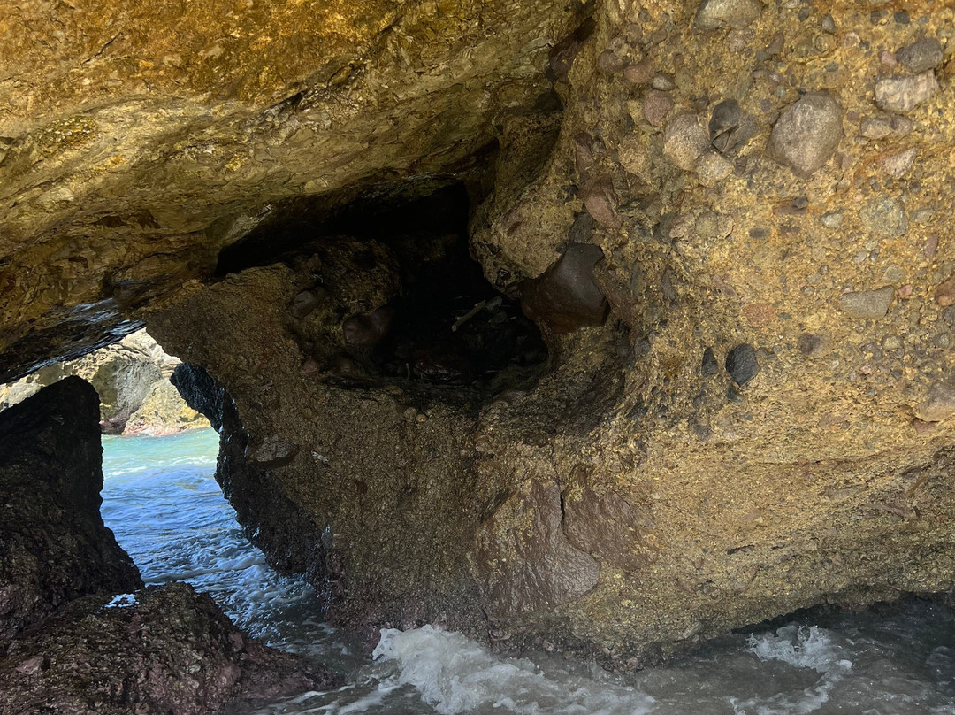 Nature Lovers Tours-Victoria必去景点