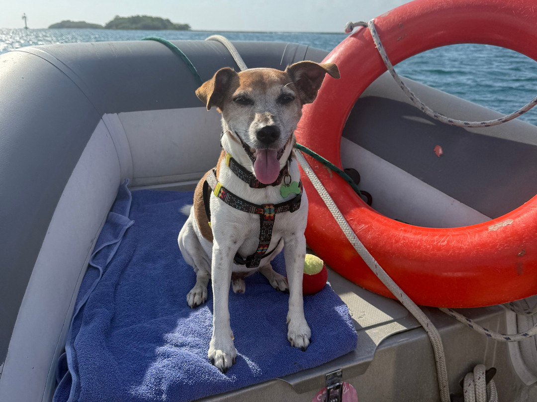 Sea Glass Tours Aruba Powered by Tranquilo Charters N.V.-萨瓦内塔必去景点