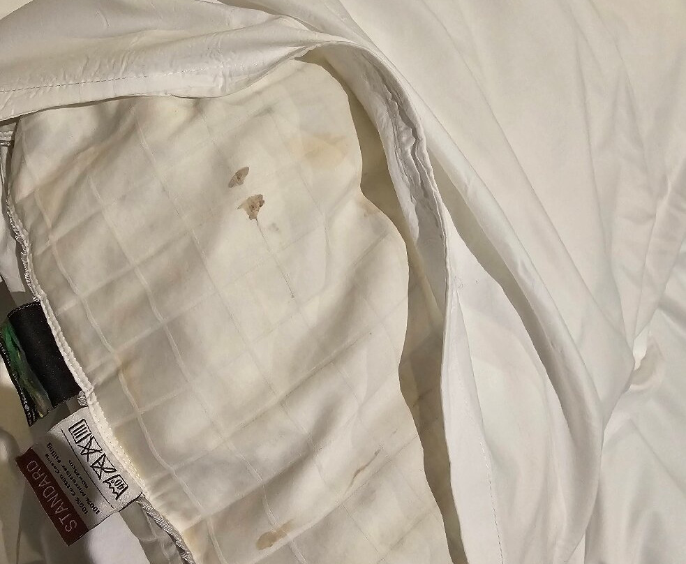 The Tunbridge Wells Hotel主图