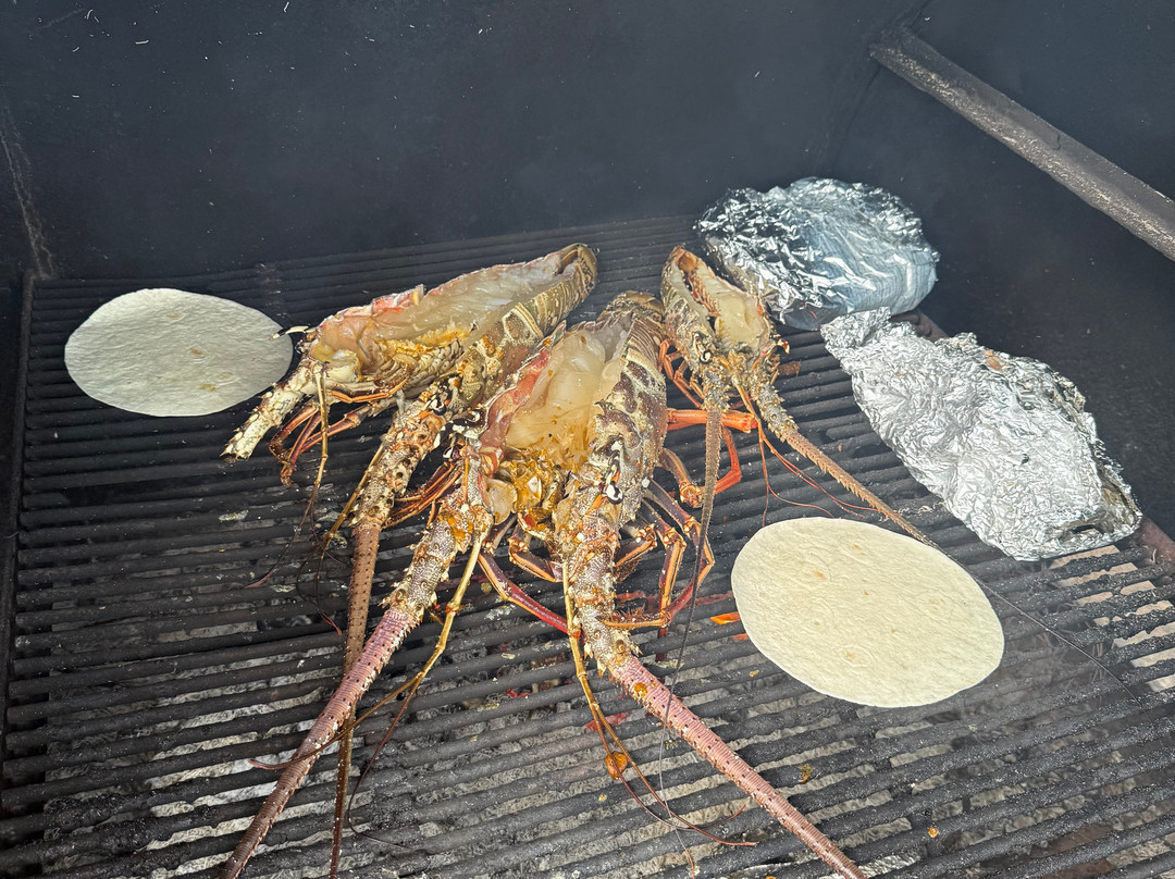 Rising Tide Tours-普罗维登西亚莱斯必去景点