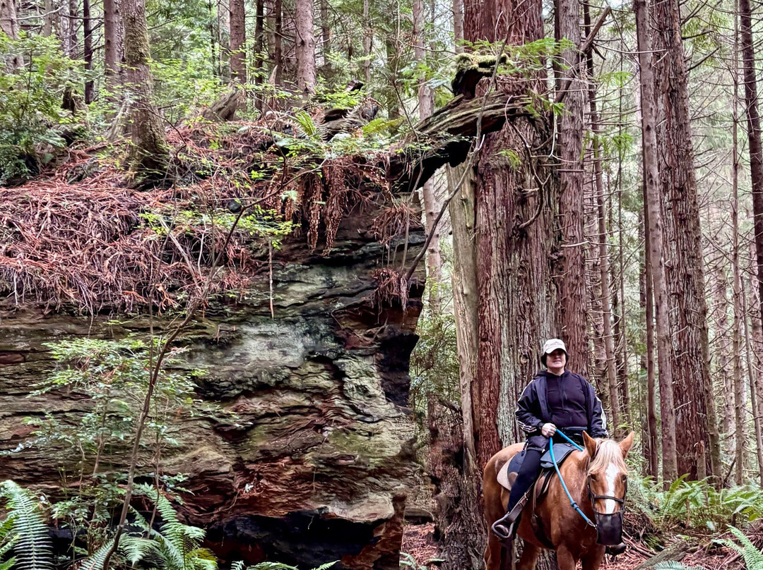 Crescent Trail Rides-克雷森特城必去景点