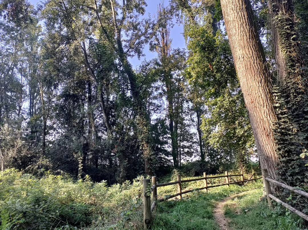 Riserva Naturale Orientata dei “Caldaren”-Gualtieri必去景点