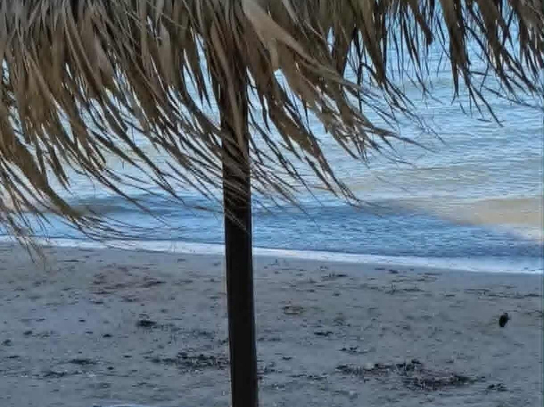 Mitsis Messonghi主图