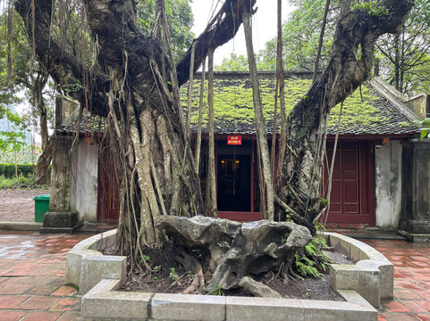 Rose Travel-河内必去景点