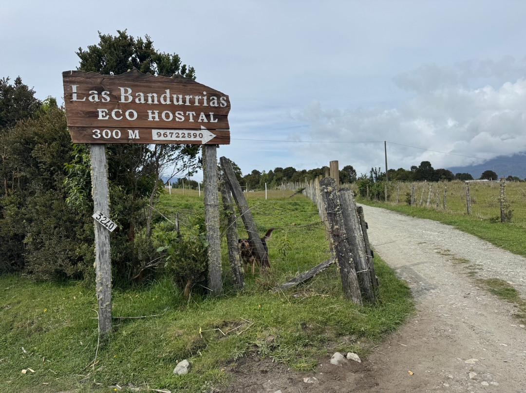 Las Bandurrias Eco Hostal主图