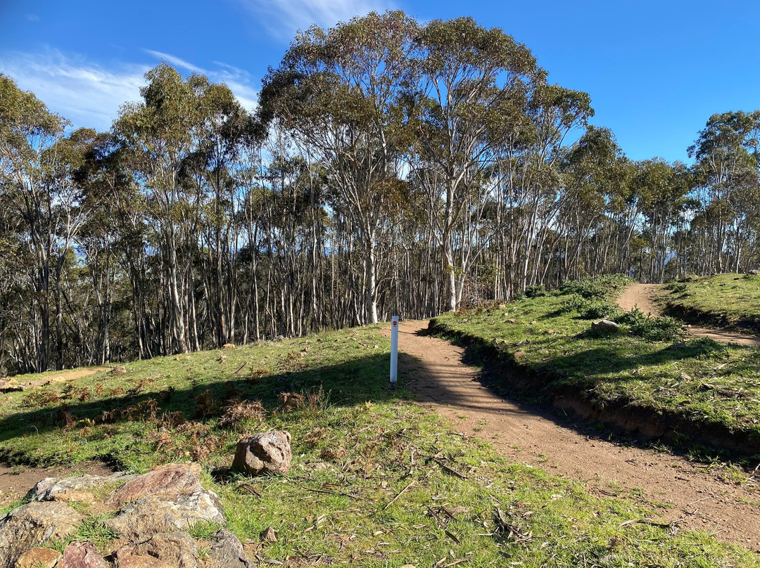 Omeo Mtb Park-Omeo必去景点