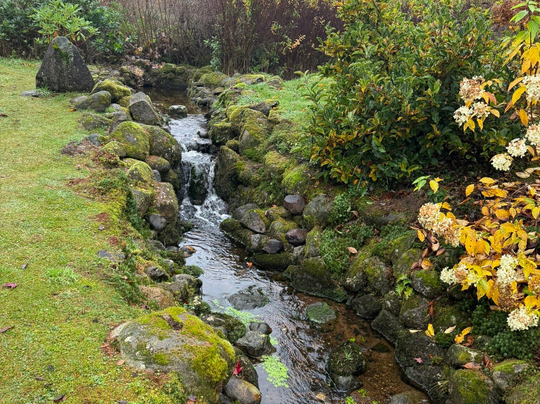 The Japanese Garden At Cowden-Dollar必去景点