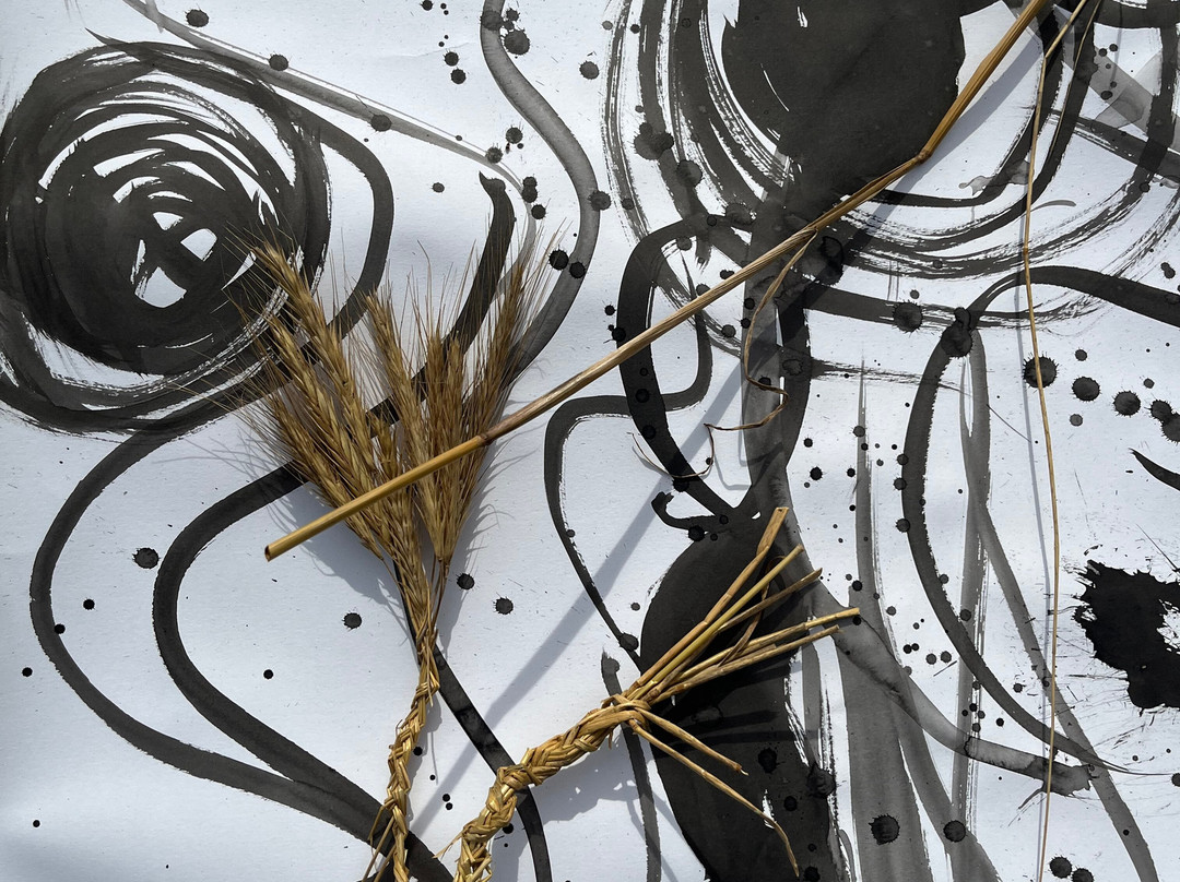 Hotel Mas Pelegri主图