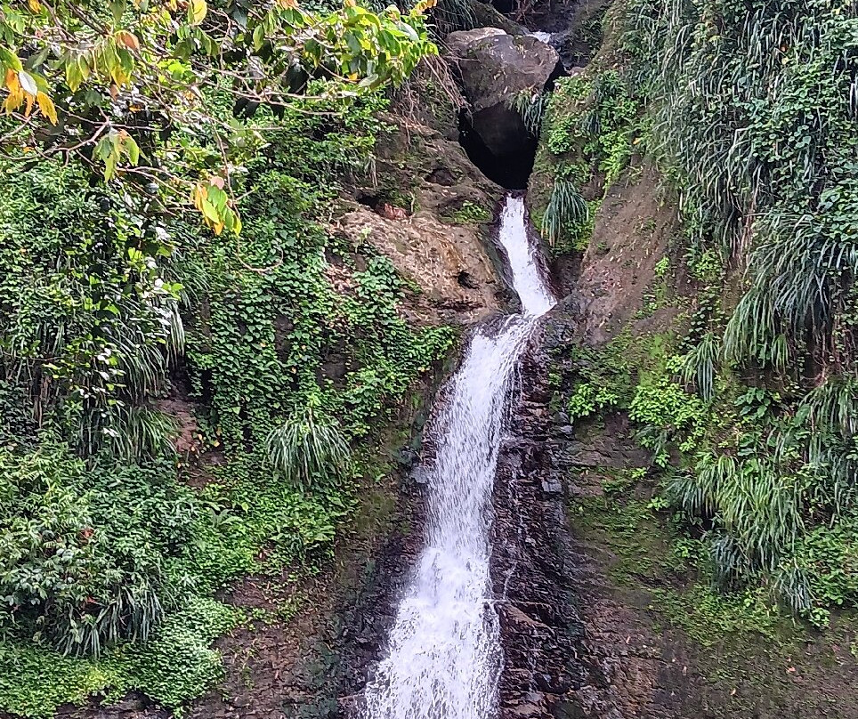 Annandale Falls-St. George's必去景点