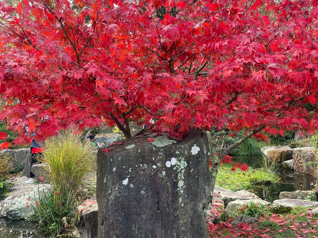 Jardin Ile de Versailles-南特必去景点