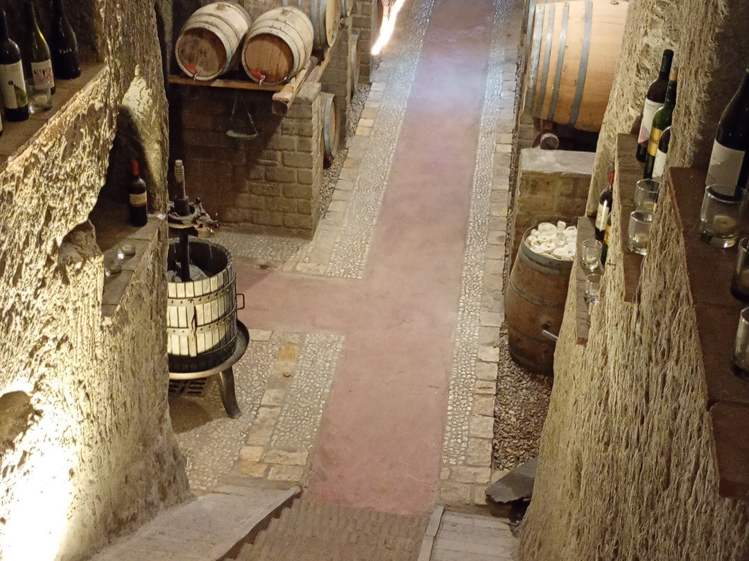 Tenute Del Gheppio主图