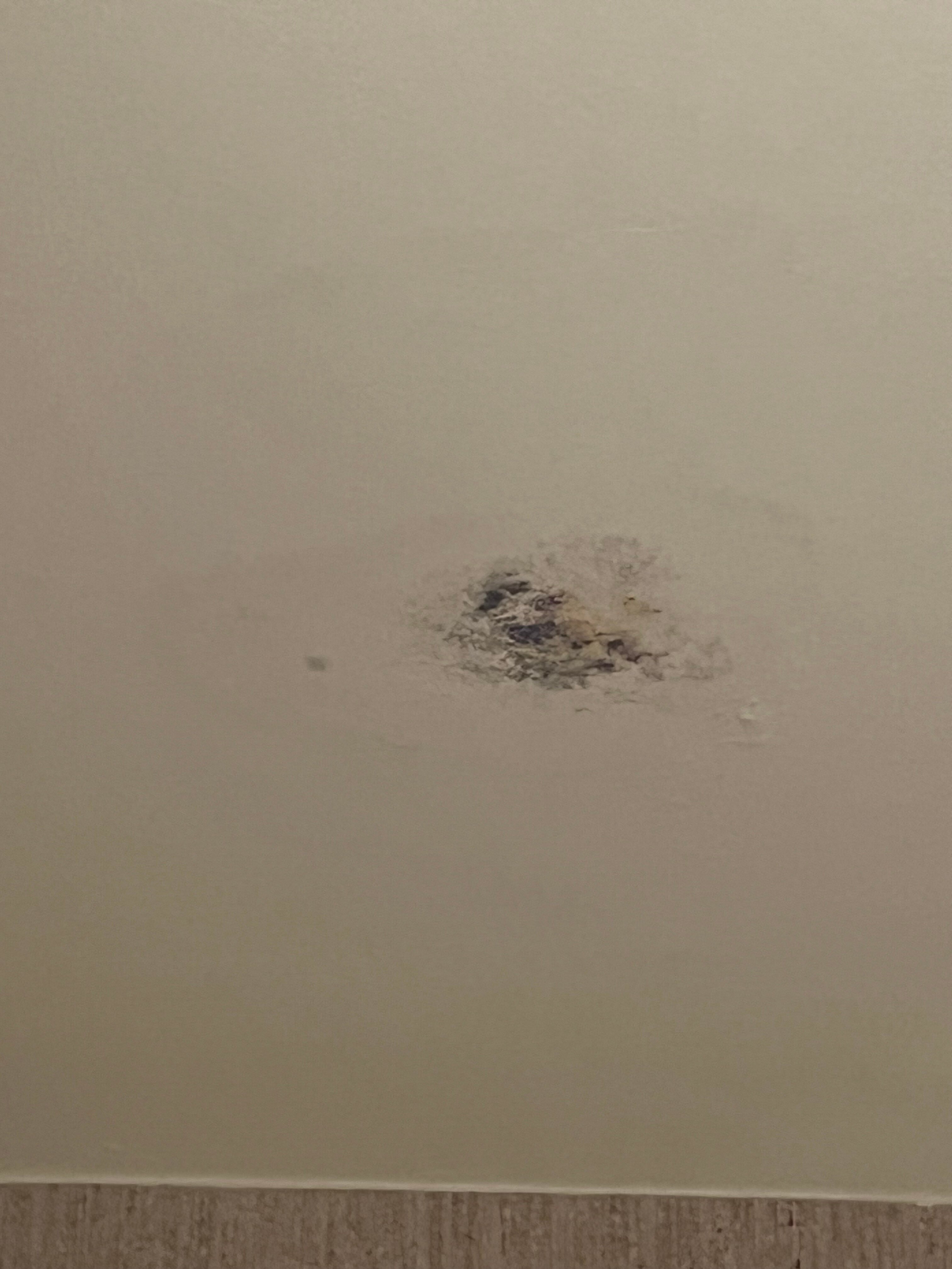 The Westin Dallas Park Central-浴室