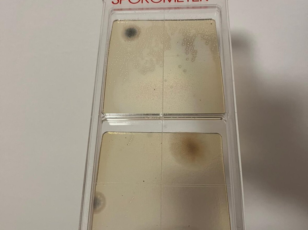 Hotel Berggasthof Schwaighofwirt主图