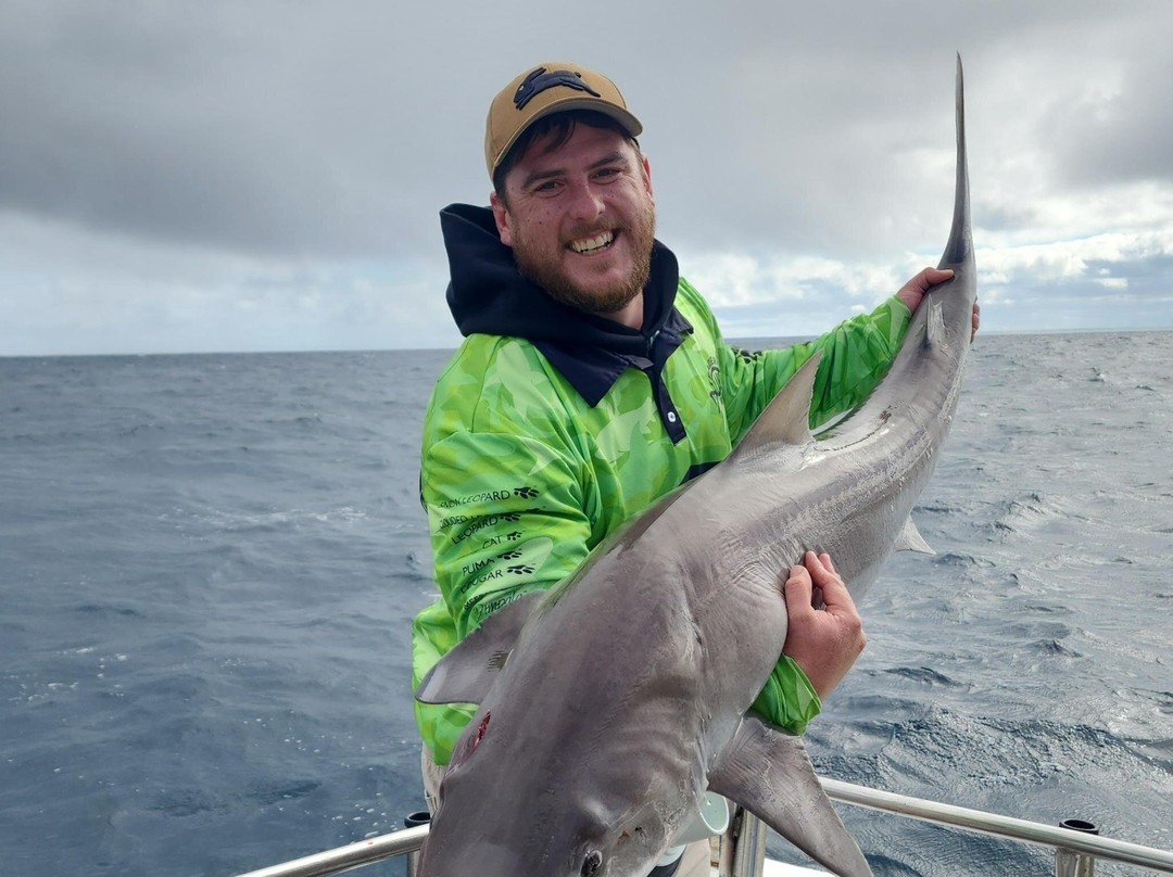 Reef Encounters Fishing Charters-Marion Bay必去景点