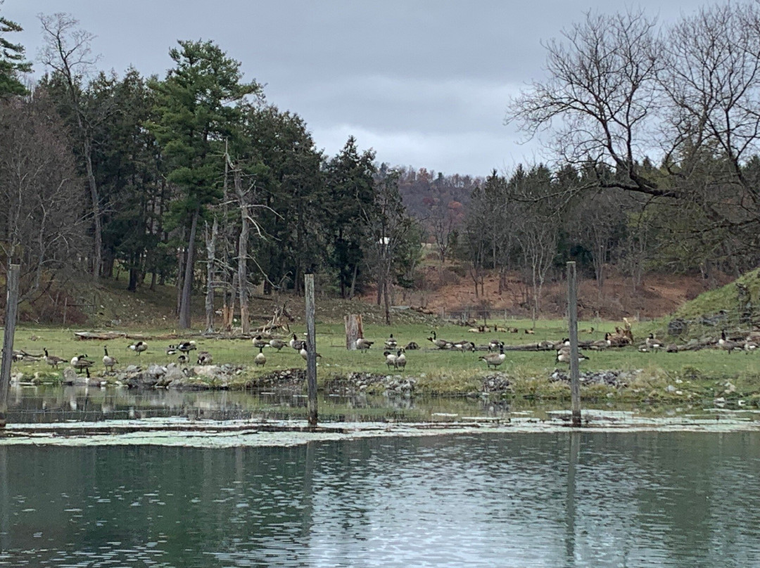 Penn's Cave & Wildlife Park-中心大厅必去景点