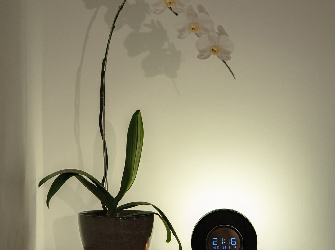 乌玛沙普纳酒店主图