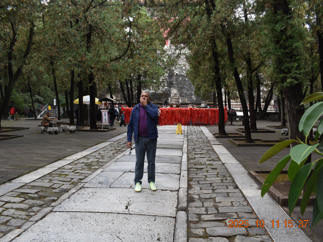 Benny's Guide & Driver Service-北京市必去景点