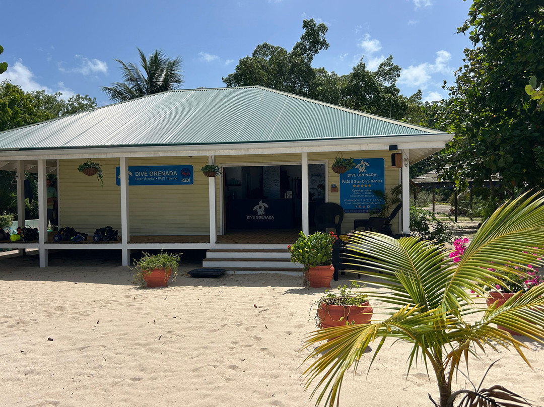 Dive Grenada-Grand Anse必去景点