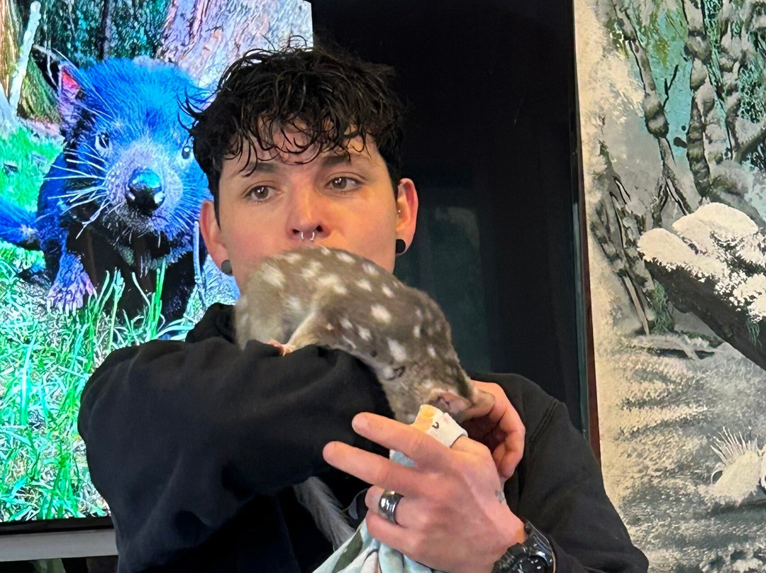 袋獾摇篮山-Cradle Mountain必去景点