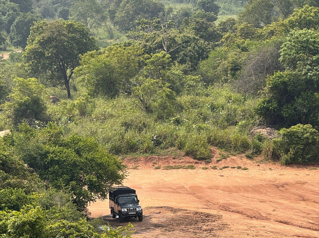 Jeep Safari With Gayan-锡吉里亚必去景点