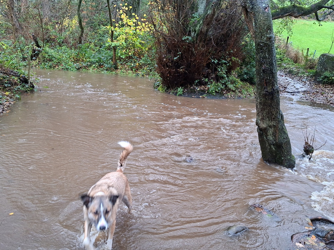 Lumsdale Valley-马特洛克必去景点