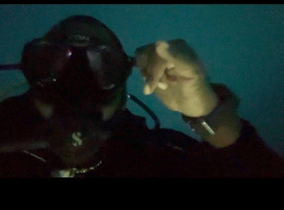 Waikiki Dive Center-火奴鲁鲁必去景点