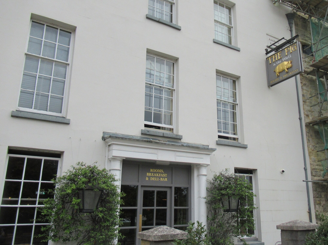 THE PIG-in the Wall主图