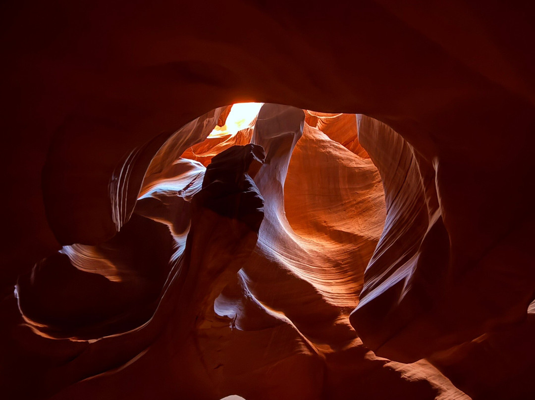 Black Streak Canyon Tours-佩吉必去景点