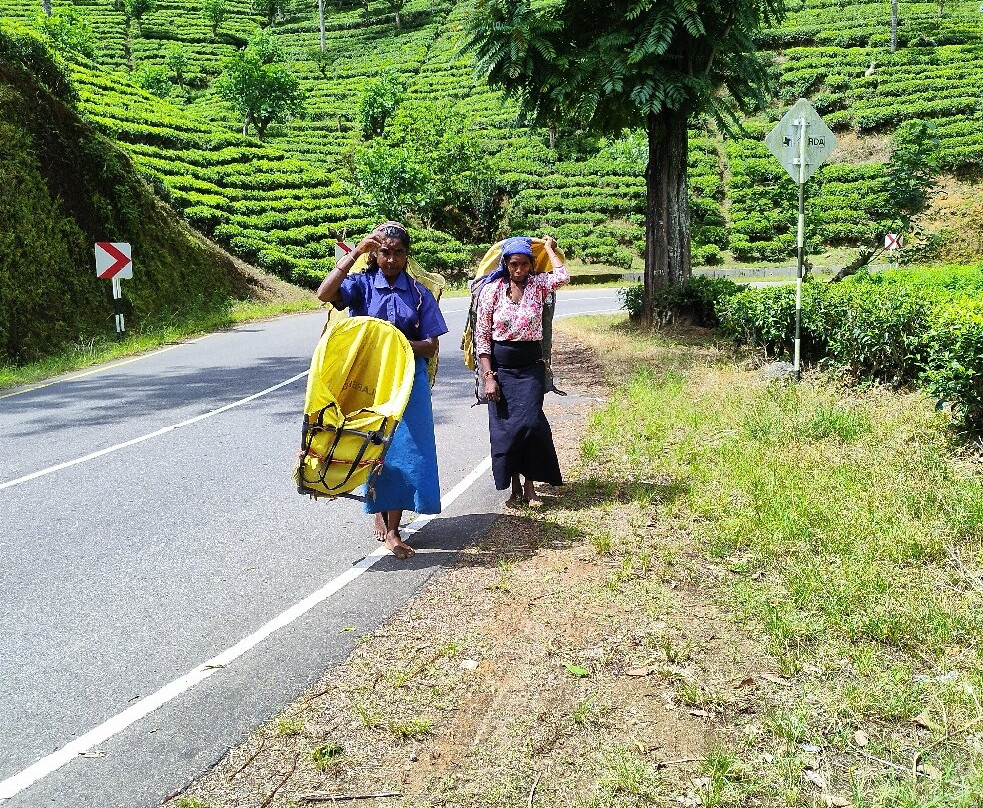 Jetco Lanka Tours-Kiribathgoda必去景点