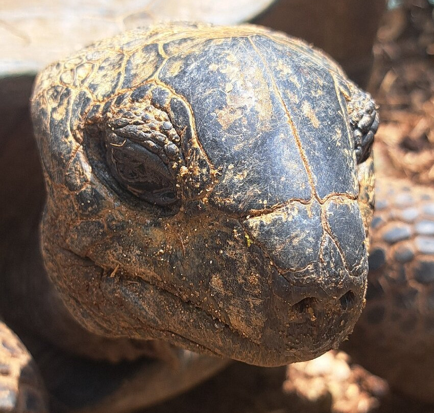 Moyenne Island-马埃岛必去景点