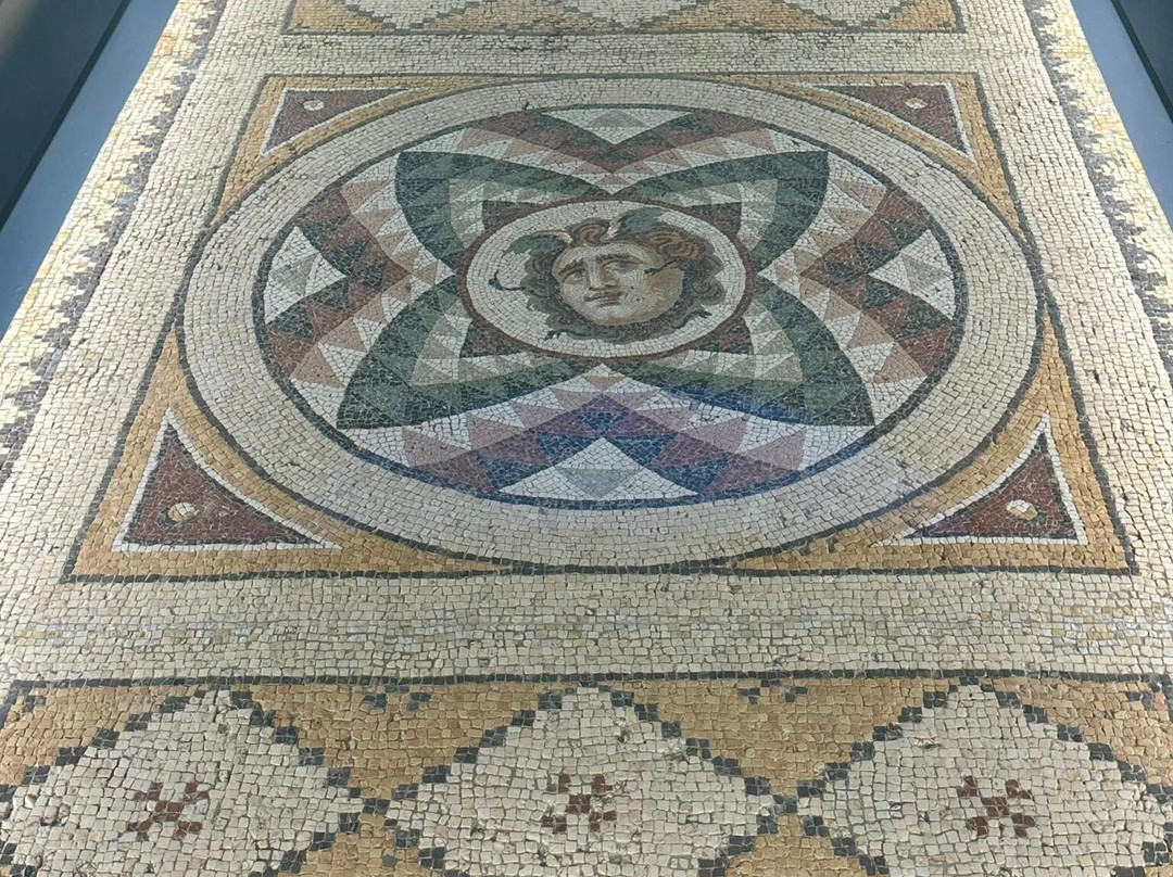 普林斯顿大学艺术博物馆-普林斯顿必去景点