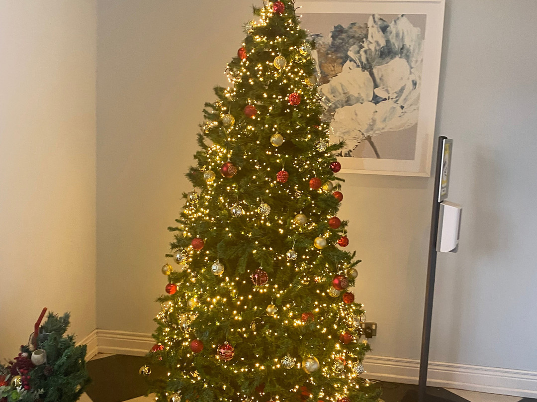 巴林纳酒店主图