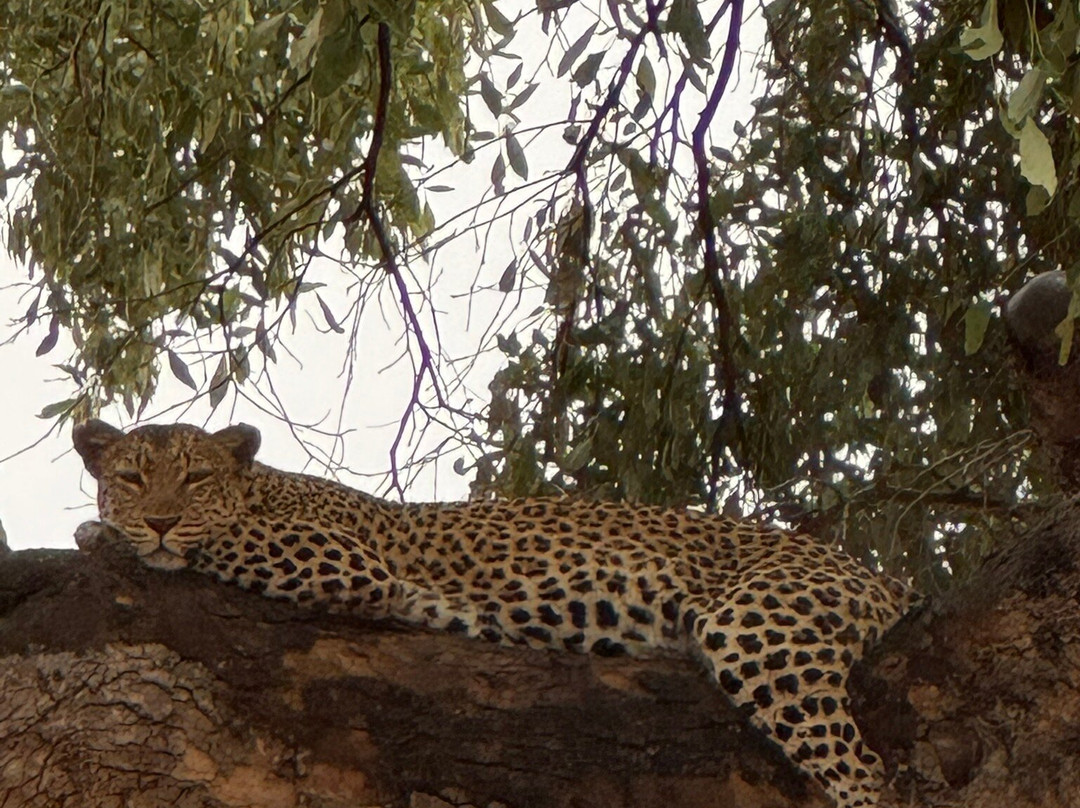 Embrace Safaris-马翁必去景点