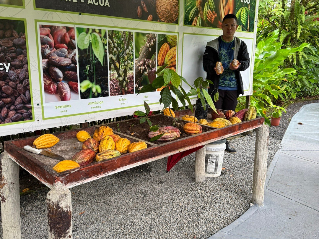 North Fields Coffee And Chocolate Tours-福德圣卡洛斯必去景点